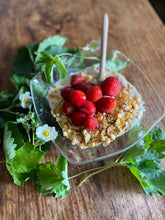 画像をギャラリービューアに読み込む, 【送料無料】勝占冷凍いちご業務用3㎏