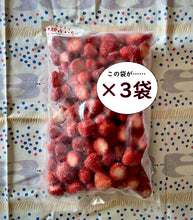 画像をギャラリービューアに読み込む, 【送料無料】勝占冷凍いちご業務用3㎏