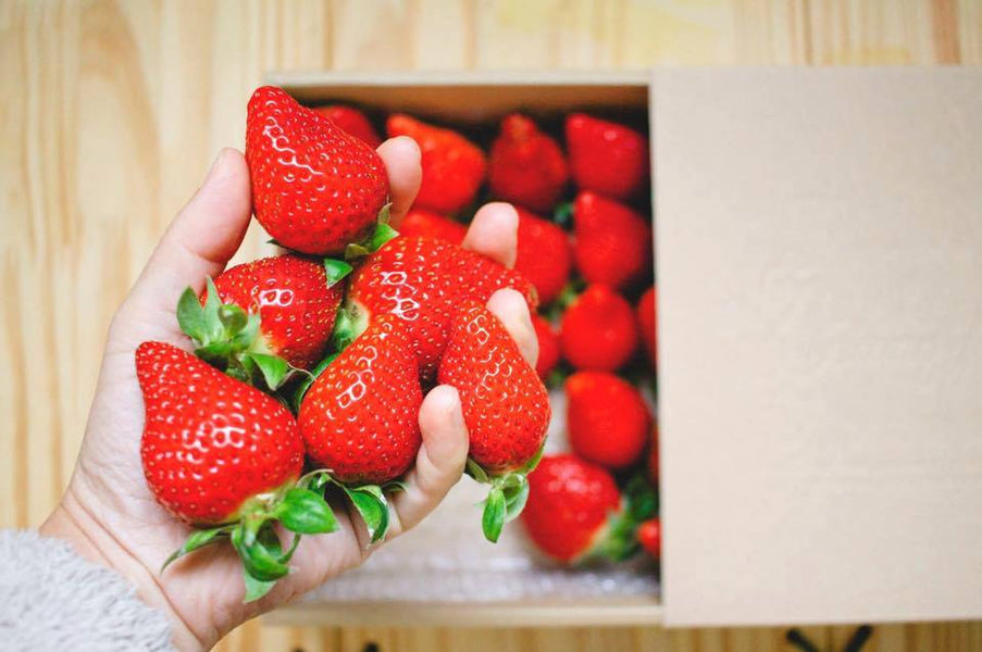 【🍓農家が教える美味しい苺の見分け方】1－鮮度