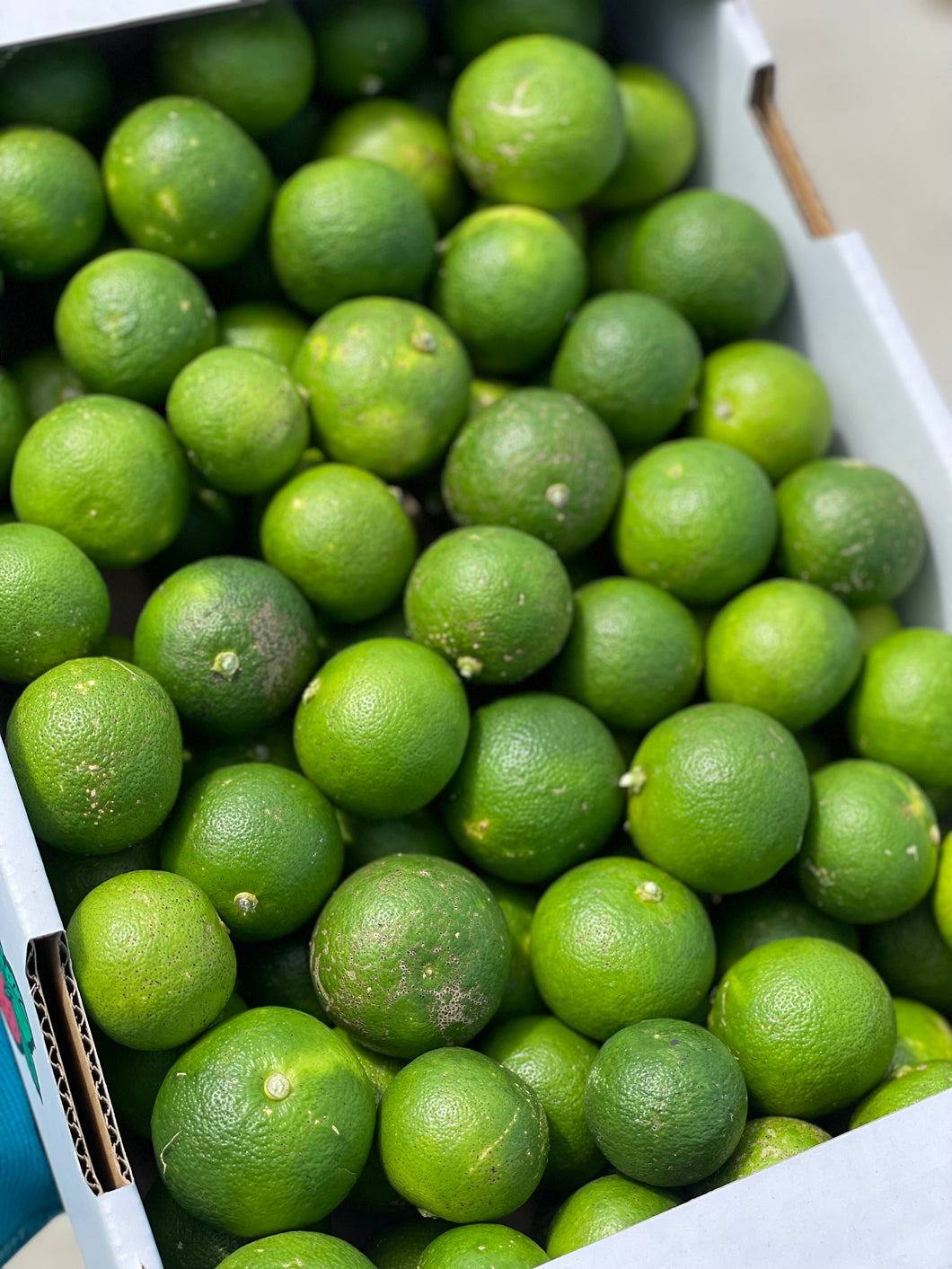 神山すだち3キロ