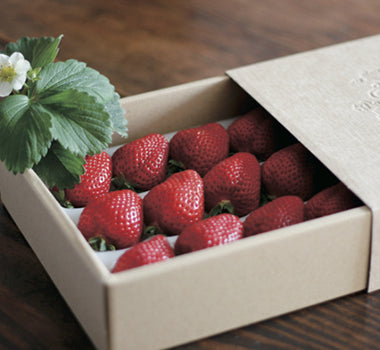 いちご農家西岡農園 – いちご農家 西岡農園